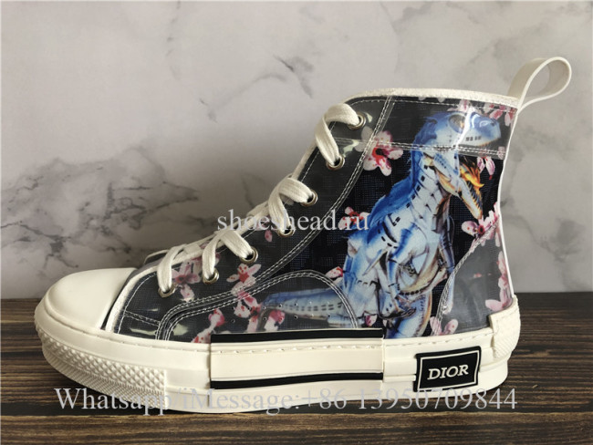 Dior B23 High-top Dior Sorayama Sneaker