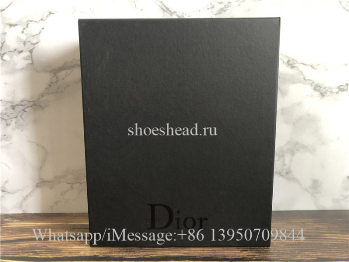 Dior B23 High-top Dior Sorayama Sneaker