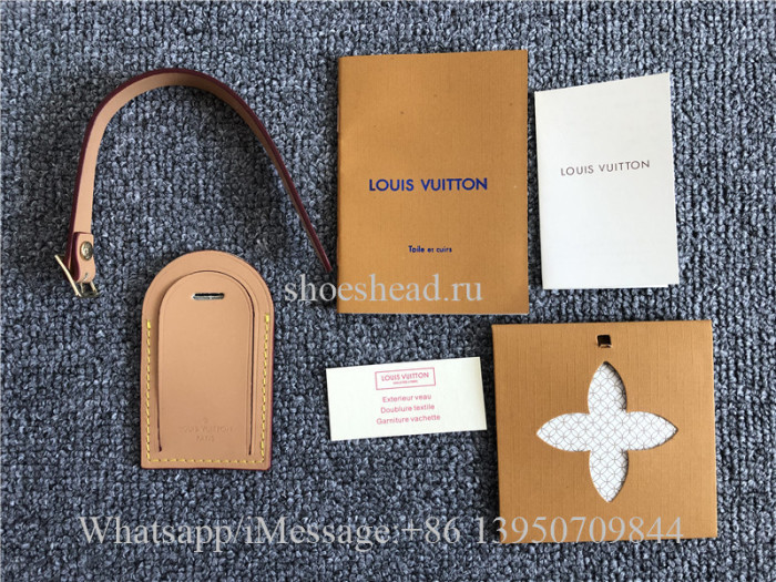 Original Quality Louis Vuitton Monogram Titanium Backpack