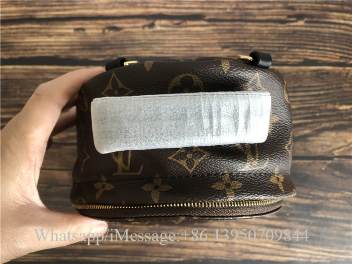 Original Louis Vuitton Palm Springs Mini Backpack