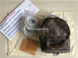 Original Louis Vuitton Palm Springs Mini Backpack