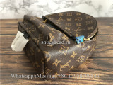 Original Louis Vuitton Palm Springs Mini Backpack