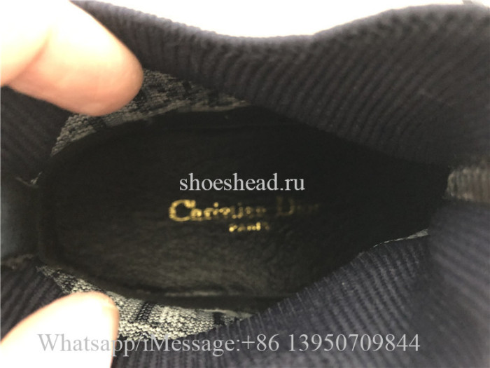 Dior Walk Oblique Technical Mesh Low Top Sneaker