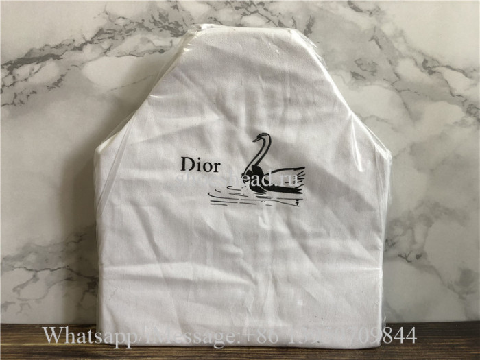 Original Quality Christian Dior Mini Book Tote Handbag