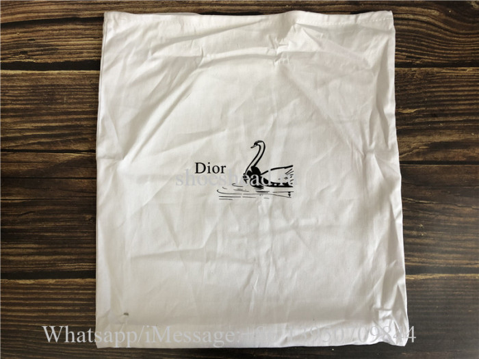 Original Quality Christian Dior Mini Book Tote Handbag