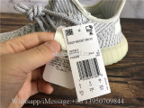 Adidas Yeezy Boost 350 V2 Yeshaya Non Reflective