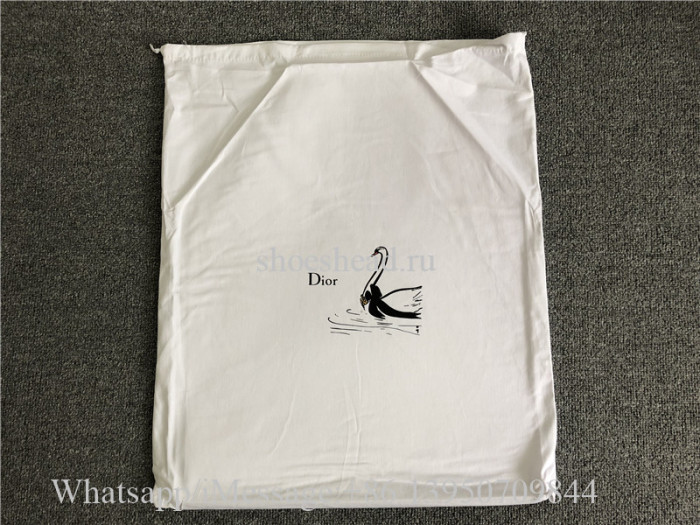 Original Christian Dior Book Tote Oblique Bag