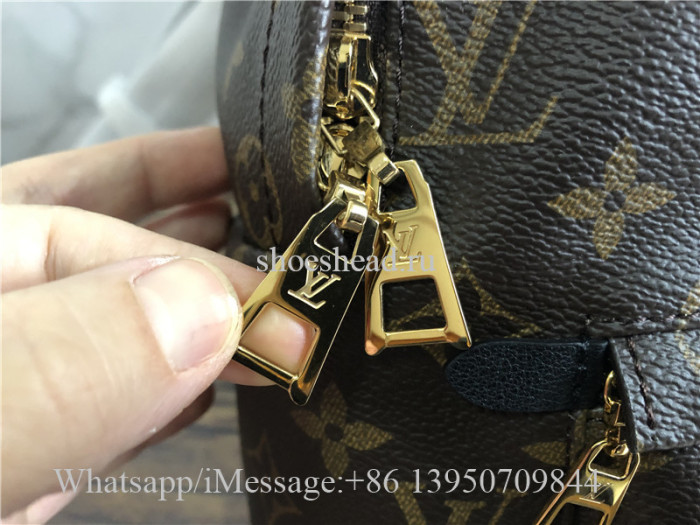 Original Louis Vuitton Monogram Palm Springs Backpack MM Brown M41561