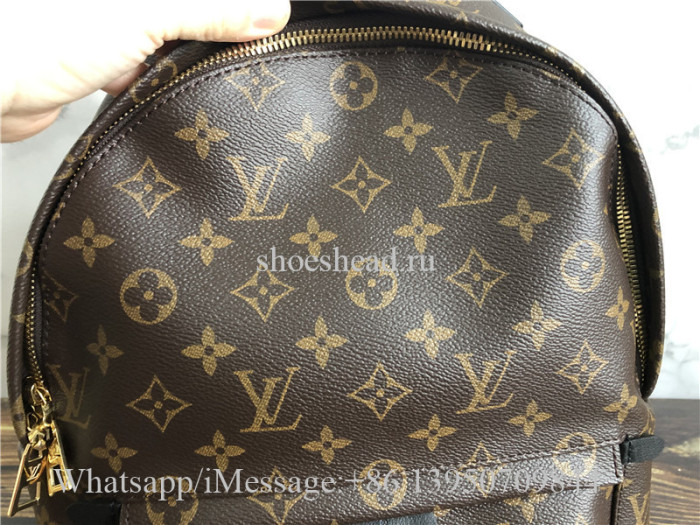 Original Louis Vuitton Monogram Palm Springs Backpack MM Brown M41561
