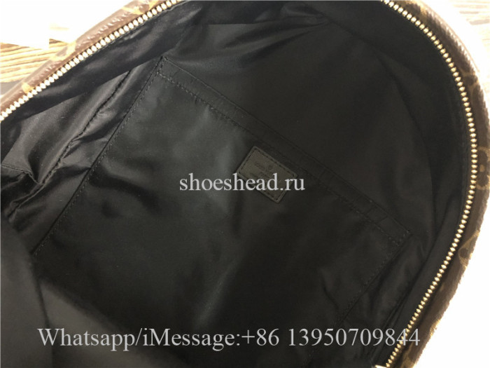 Original Louis Vuitton Monogram Palm Springs Backpack MM Brown M41561
