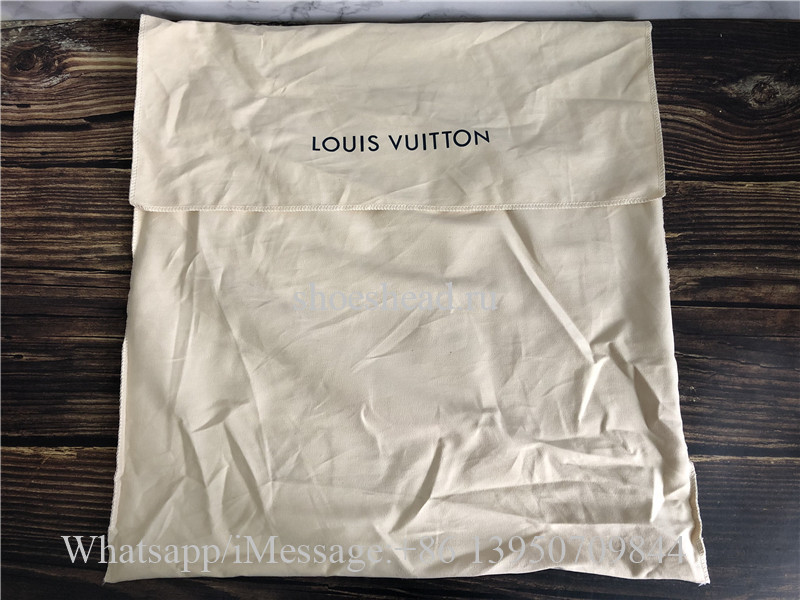 Original Louis Vuitton Monogram Palm Springs Backpack MM Brown M41561