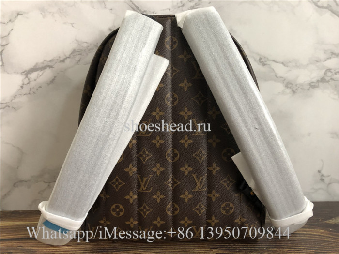 Original Louis Vuitton Monogram Palm Springs Backpack MM Brown M41561