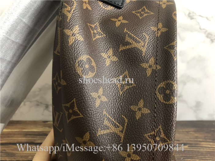 Original Louis Vuitton Monogram Palm Springs Backpack MM Brown M41561