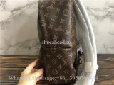 Original Louis Vuitton Monogram Palm Springs Backpack MM Brown M41561