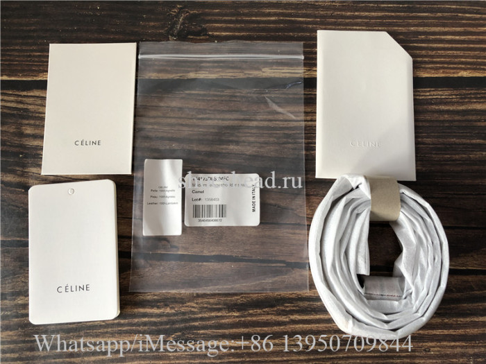 Original Celine Bag Cabas Triomphe Small Canvas Vertical Handbag
