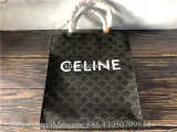 Original Celine Bag Cabas Triomphe Small Canvas Vertical Handbag