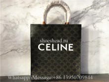 Original Celine Bag Cabas Triomphe Small Canvas Vertical Handbag