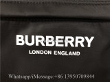 Original Burberry Logo Print Econyl Backpack Black