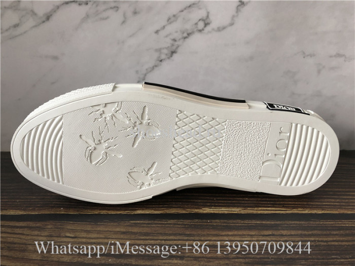 Dior B23 Homme Low Top Sneaker Orchid Oblique