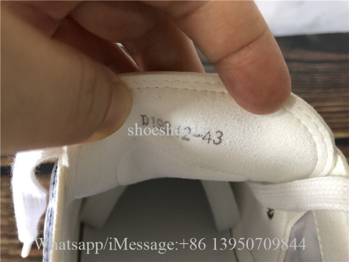 Dior B23 Homme Low Top Sneaker Orchid Oblique
