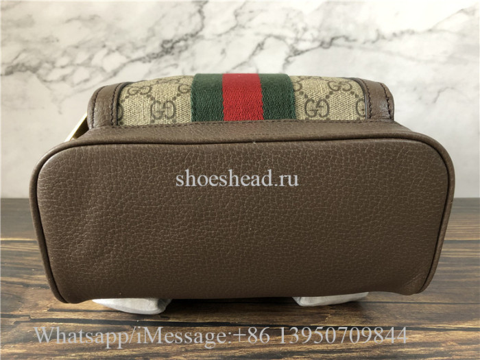 Original Quality Gucci Ophidia Leather Techno Backpack