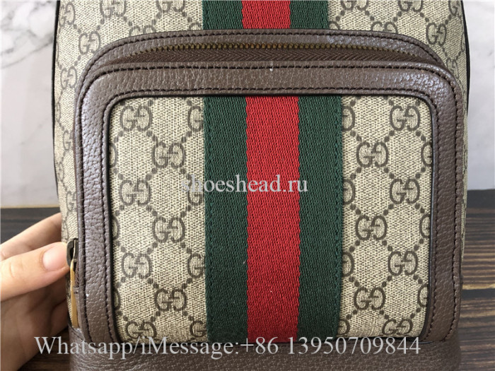 Original Quality Gucci Ophidia Leather Techno Backpack