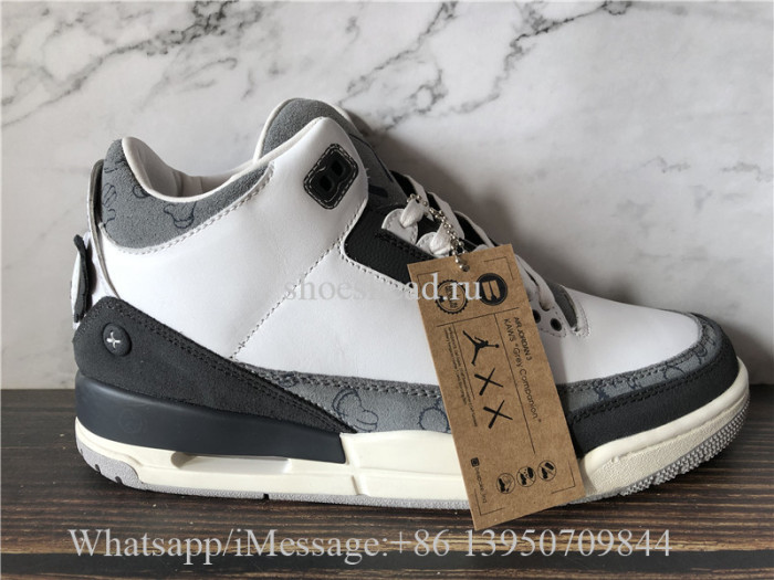 Air Jordan 3 Retro Kaws