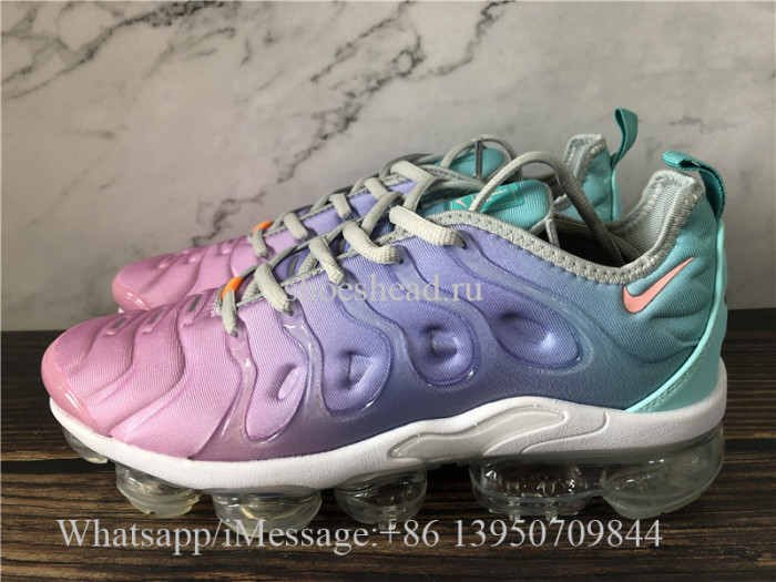 Nike Air VaporMax Plus Multicolor