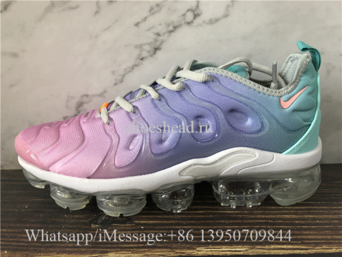Nike Air VaporMax Plus Multicolor
