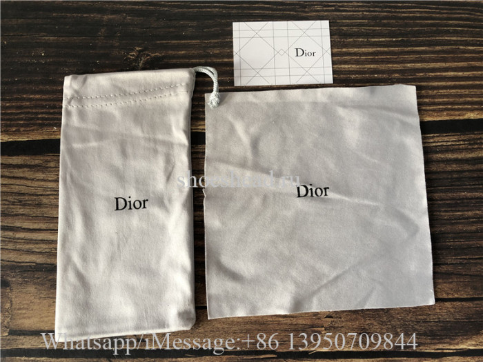 Dior Sunglasses 02