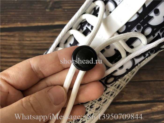Christian Dior Obilque B24 Sneaker
