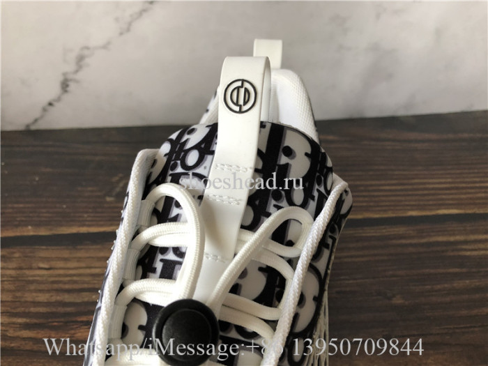 Christian Dior Obilque B24 Sneaker