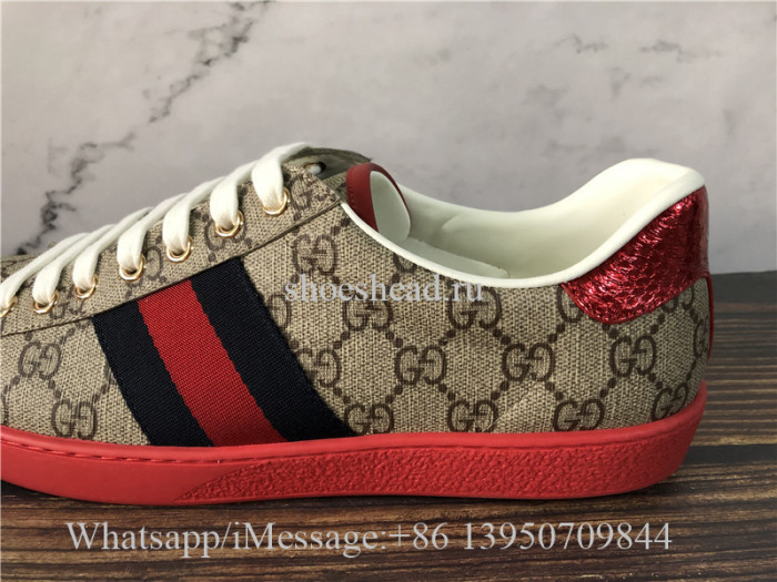 Super Quality Gucci Ace Embroidered GG Supreme Sneaker