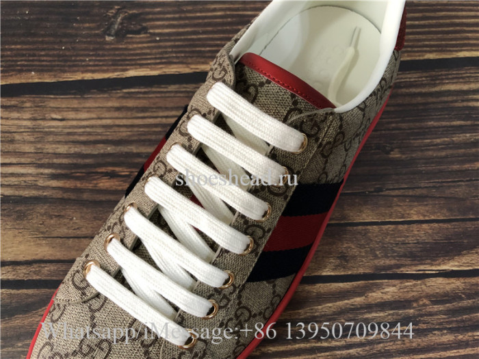 Super Quality Gucci Ace Embroidered GG Supreme Sneaker
