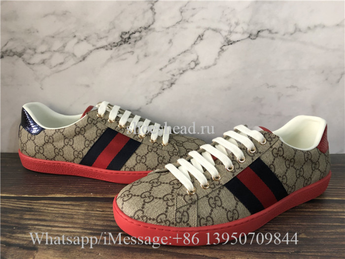 Super Quality Gucci Ace Embroidered GG Supreme Sneaker