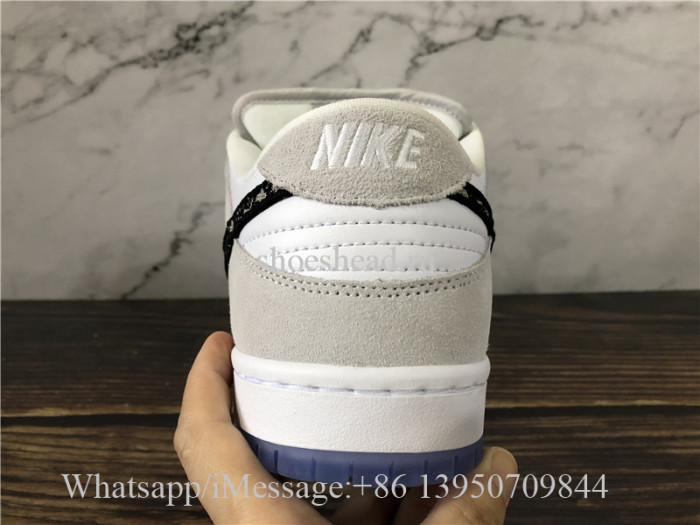 Nike SB Dunk Low Dior