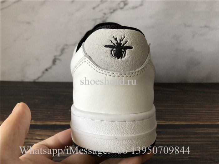 Christian Dior Homme B02 Shoes Pink White
