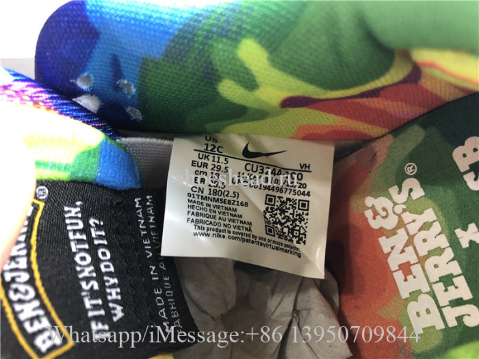 Kid Ben & Jerry Nike SB Dunk Low Pro QS Chunky Dunky Child