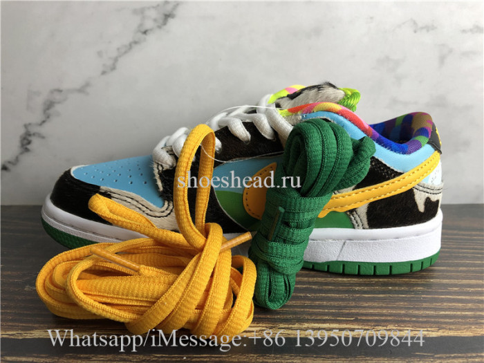 Kid Ben & Jerry Nike SB Dunk Low Pro QS Chunky Dunky Child