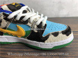 Kid Ben & Jerry Nike SB Dunk Low Pro QS Chunky Dunky Child