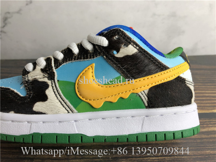 Kid Ben & Jerry Nike SB Dunk Low Pro QS Chunky Dunky Child