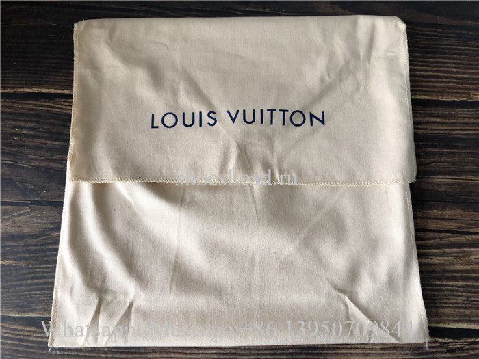 Original Quality Louis Vuitton Monogram Montsouris NM Backpack