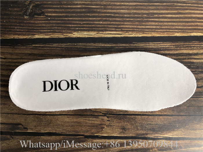 Dior B23 Low Top Sneaker White Blue
