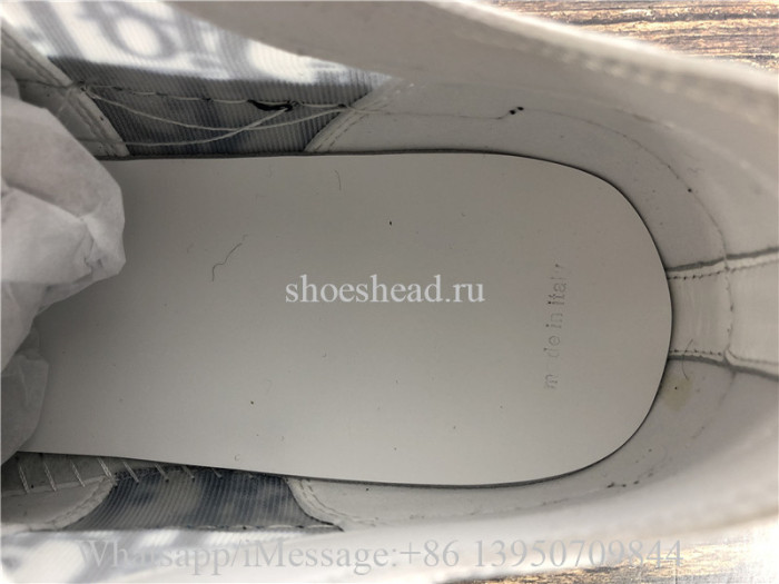 Dior B23 Low Top Sneaker White Blue