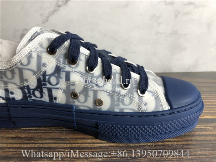 Dior B23 Low Top Sneaker White Blue