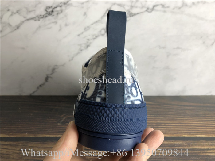 Dior B23 Low Top Sneaker White Blue