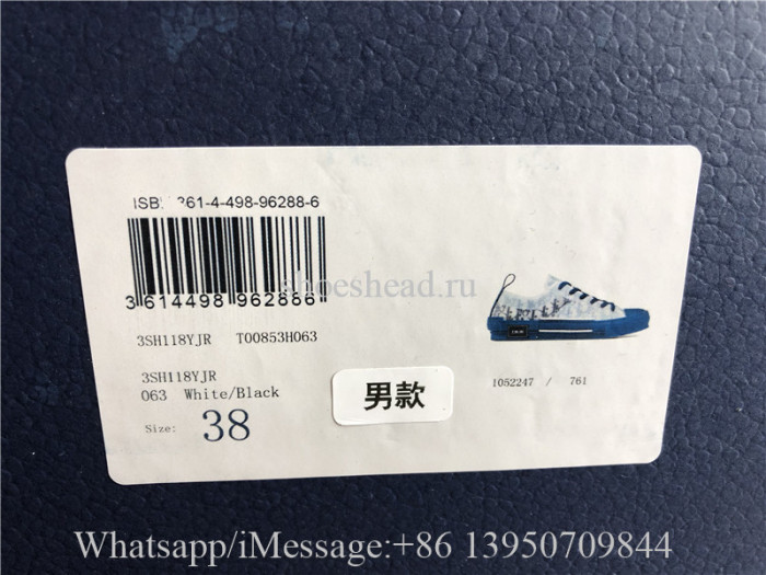 Dior B23 Low Top Sneaker White Blue