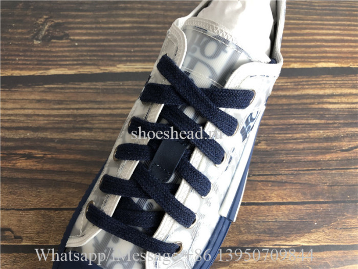 Dior B23 Low Top Sneaker White Blue