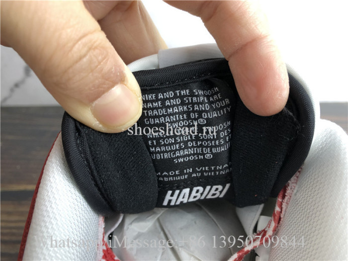 Frame Skate x Nike SB Dunk Low Habibi