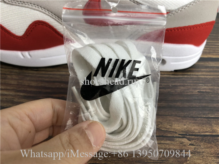 Nike Air Max 1 Anniversary